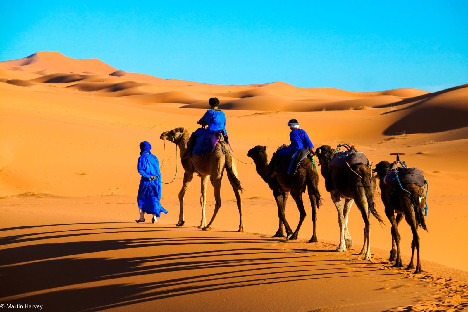 Camel Trekking: M’Hamid – Erg Chegaga – Foum Zguid