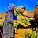 desert maroc