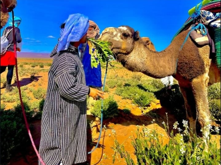 desert maroc