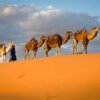 Desert Maroc