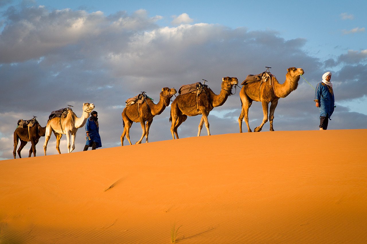 Desert Maroc