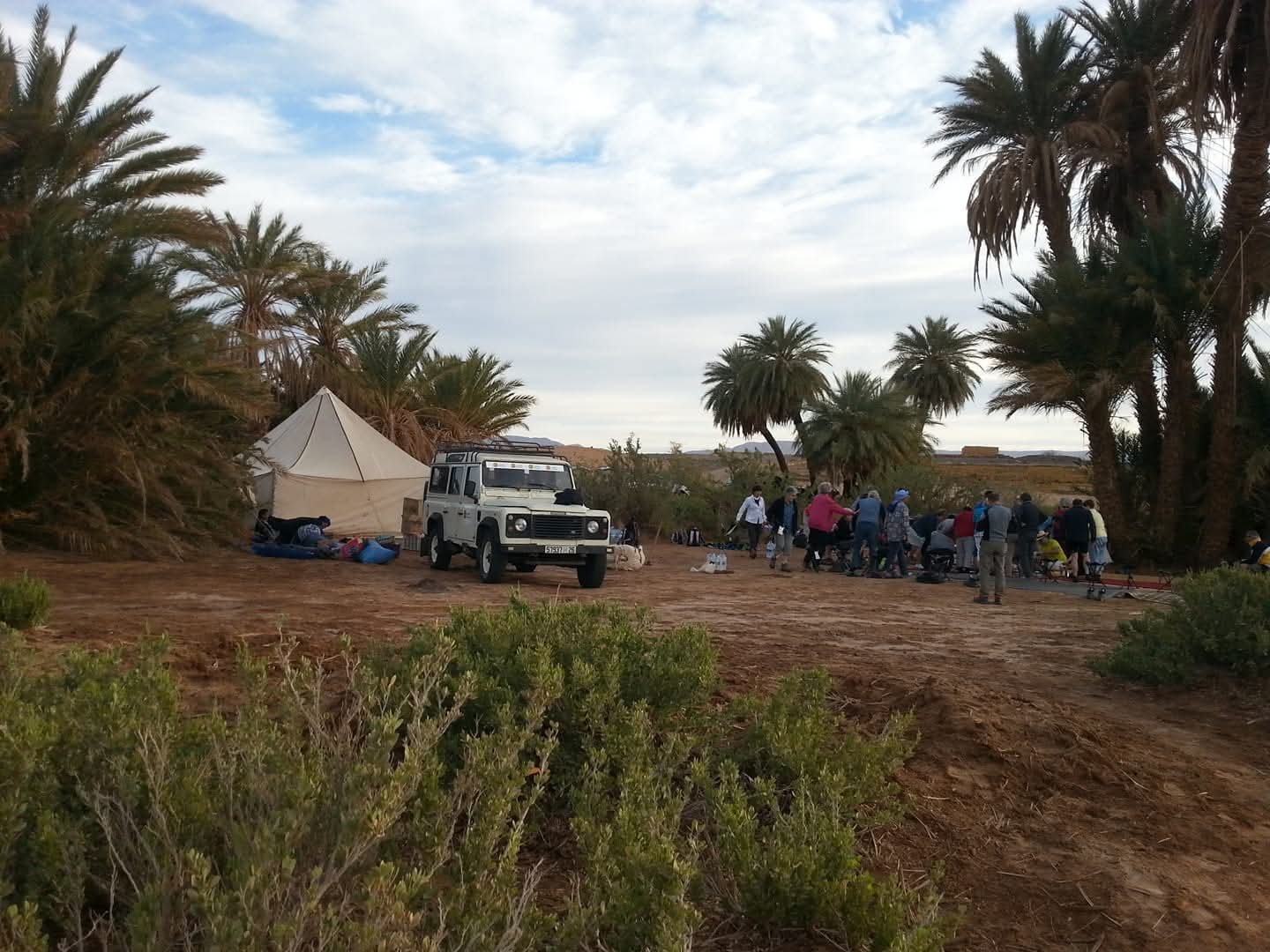 Excursion d’une journée à l’oasis Laarjimia depuis Foum Zguid